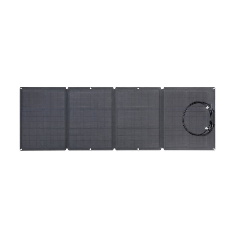 EcoFlow | RIVER Pro + 110W Solar Panel